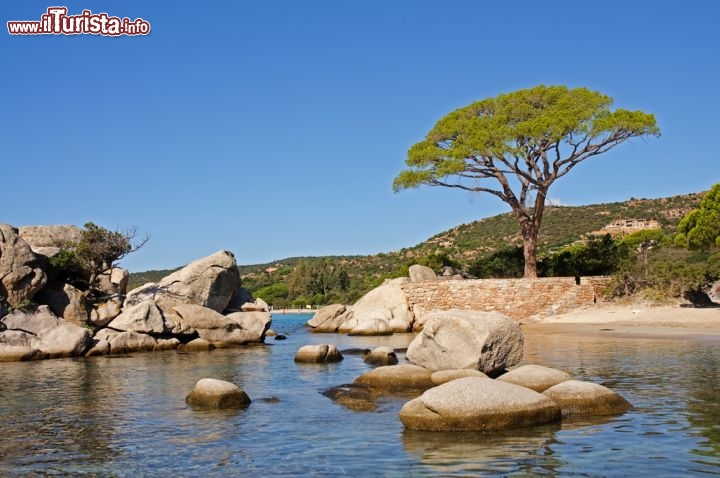 Immagine Le spettacolari rocce levigate della Palombaggia a Porto Vecchio (Corsica) - © Souchon Yves
/ Shutterstock.com