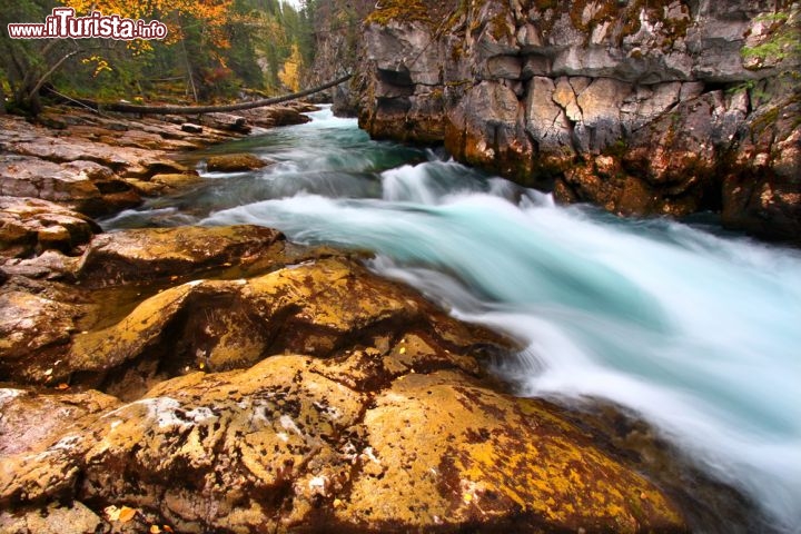 Immagine Il Maligne Canyon del Jasper National Park, in Canada, è il percorso tra le rocce scavato dal fiume Maligne, prima di gettarsi nell'omonimo splendido lago - © Jason Patrick Ross / Shutterstock.com
