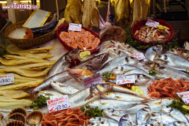 Immagine Il Mercato Orientale di Genova: una bancarella con varietà di pesce - © Nataliya Peregudova / Shutterstock.com