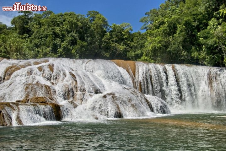 Immagine Le cascate di Misol-Ha si trovano a una ventina di chilometri da Palenque, nello stato messicano del Chapas - © James Harrison / Shutterstock.com
