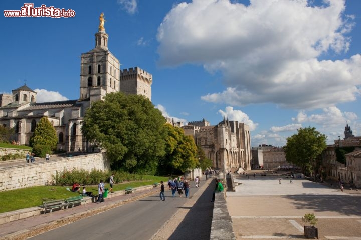 Immagine Notre Dam des Doms e Palazzo Papi Avignone, visti dal fiume Rodano, in Provenza - Avignon Tourisme, Copyrights Yann de Fareins / Noir d’Ivoire