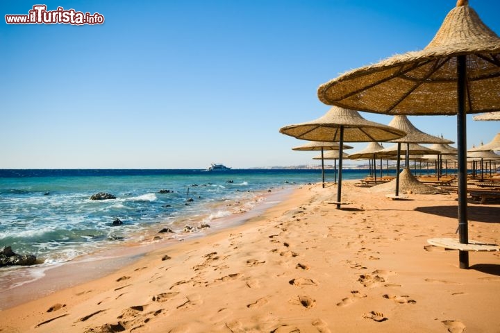 Immagine Ombrelloni sull spiaggia di Sharm el Sheikh in Egitto - © Eric Gevaert / Shutterstock.com