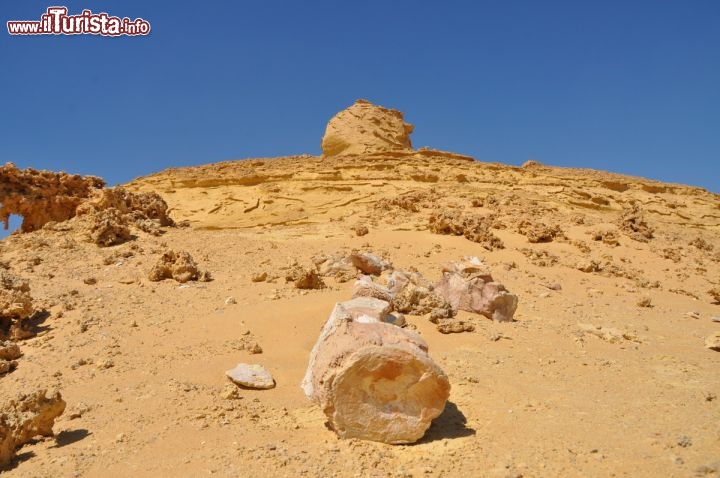 Immagine Osso di balena fossile: ci troviamo a Wadi al-Hitan in Egitto - In collaborazione con I Viaggi di Maurizio Levi