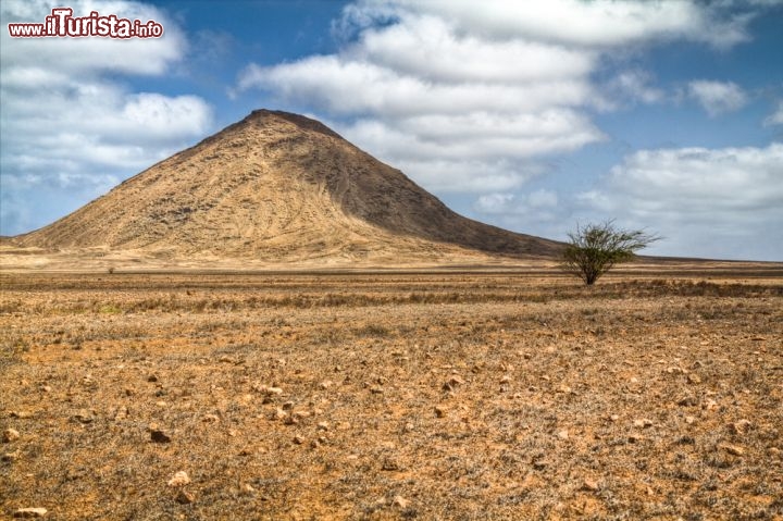 Immagine Paesaggio a Capo Verde: un albero solitario ed una montagna spoglia - © powell'sPoint / Shutterstock.com