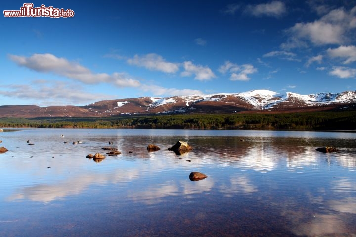 Immagine Paesaggio del Loch Morlich, lo si incontra camminando sulla East Highland Way, uno dei sentieri più famosi della Scozia  - © johnbraid / Shutterstock.com