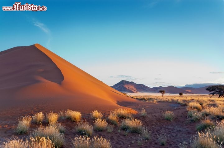 Immagine Il paesaggio surreale del deserto nei pressi di Sossusvlei in Namibia, dove si trovano le grandi dune di sabbia a forma di stella - © JaySi / Shutterstock.com