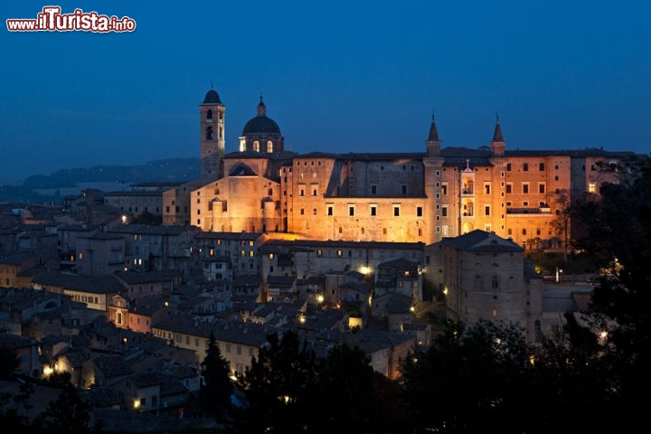 Immagine Veduta notturna del Palazzo Ducale e della città di Urbino