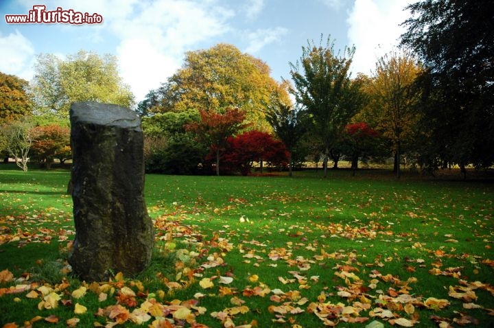 Immagine Parco pubblico a Cardiff in autunno - © David Lehner / Shutterstock.com