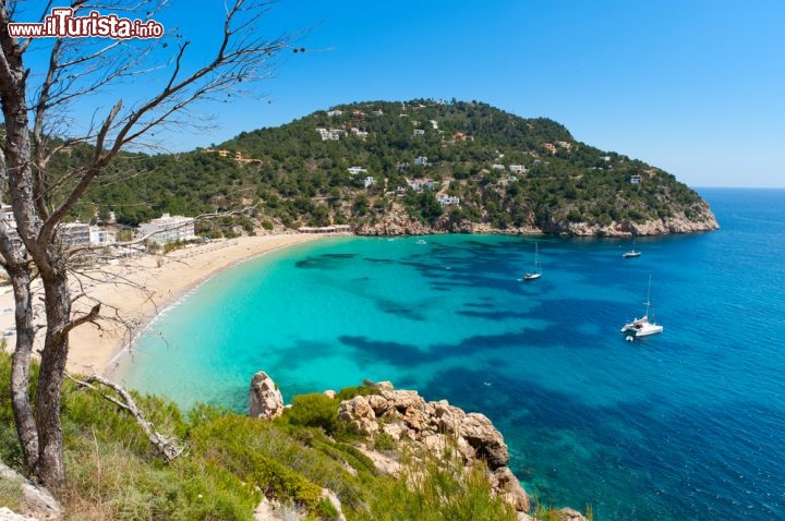 Immagine Playa Cala de Sant Vicent a Ibiza, Baleari - © Eric Gevaert / Shutterstock.com