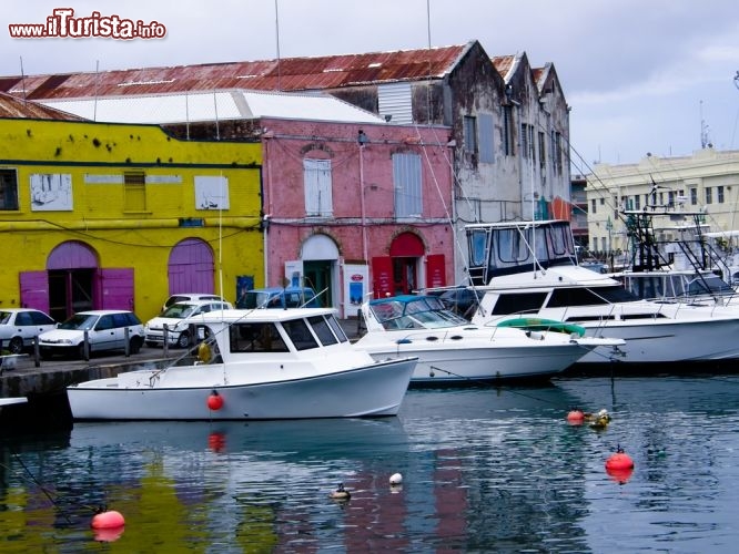 Immagine Il variopinto porto di Bridgetown a Barbados - © ziggysofi / Shutterstock.com