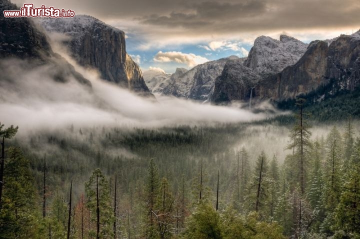 Immagine Foto della prima neve con banco di nebbia all'interno dela Parco Yosemite in California, USA - © Jeffrey T. Kreulen / Shutterstock.com