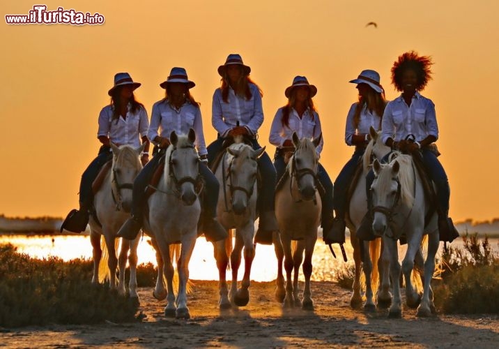 Immagine Ragazze Donnavventura con i cavalli della Camargue in Francia - © DONNAVVENTURA® 2015 - Tutti i diritti riservati - All rights reserved