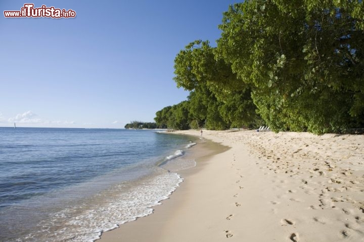 Immagine Reeds Bay sulla costa ovest di Barbados - Fonte: Barbados Tourism Authority