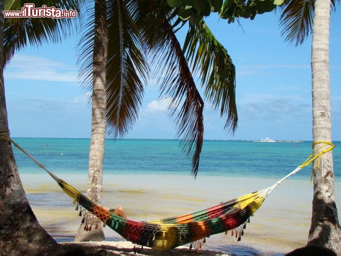 Immagine Relax con amaca a Punta Cana. Si tratta di una meta turistica molto apprezzata dai turisti italiani, che trovano qui il meglio dei caraibi a prezzi d'occasione (Repubblica Dominicana) - © Alicia Dauksis / Shutterstock.com
