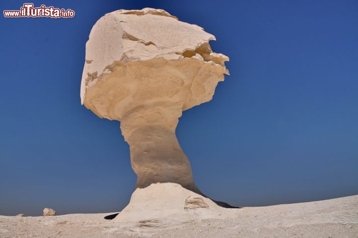 Immagine Deserto Bianco, Egitto: Roccia erosa dal vento