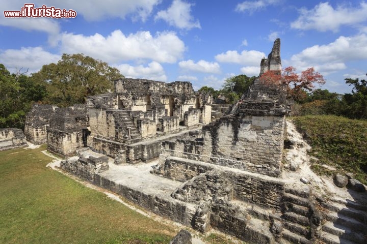 Immagine Rovine archeologiche di Tikal, Guatemala - © sunsinger / Shutterstock.com