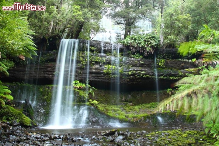 Immagine Russel Falls in Tasmania: ci troviamo nel Parco Nazionale Monte Field - © Curioso / Shutterstock.com