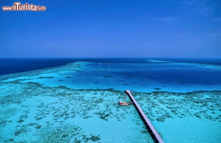 Immagine Sanghaneb reef la barriera corallina vergine del Mar Rosso, in Sudan - © Angelo Giampiccolo / Shutterstock.com