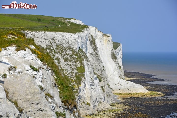 Immagine Scogliere nel sud dell'Inghilterra (Gran Bretagna ), nei pressi di Dover - © Adrian Reynolds / Shutterstock.com
