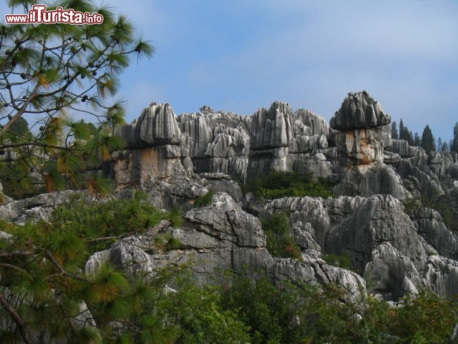 Immagine A Shilin, un villaggio nella regione dello Yunnan, nel sud della Cina, si trova la foresta di pietra conosciuta anche come la Stonme Forest di Kunming. Dal 2007 fa parte dei patrimoni dell'umanità dell'UNESCO - © Ye Choh Wah / Shutterstock.com