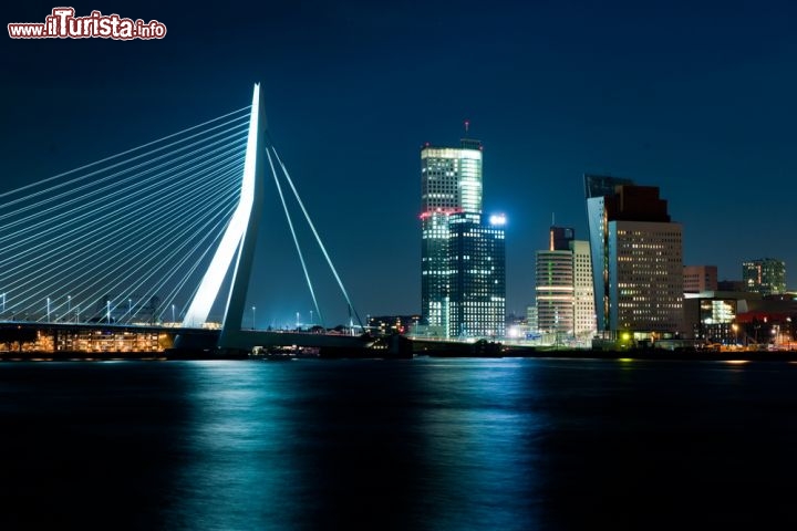 Immagine La Skyline di Rotterdam alla sera, con l'inconfondibile Erasmus Bridge, uno dei ponti più famosi di tutta l'Olanda - © Corepics VOF / Shutterstock.com