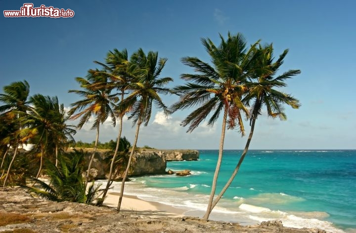 Immagine Spiaggia Bottom Bay Barbados. Questa piccola baia si trova sulla costa sud dell'isola - Fonte: Barbados Tourism Authority