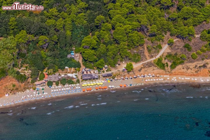 Immagine Šunj (Sunj) è la spiaggia sabbiosa più famosa di Lopud una delle tre isole Elafiti del sud della Dalmazi, in Croazia vicino a Dubrovnik - © OPIS Zagreb / Shutterstock.com