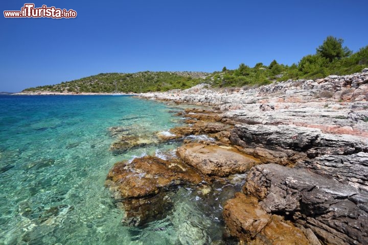 Immagine Una spiaggia di Murter, l'isola della Dalmazia (Croazia). Murter si trova non distante dalla costa quindi in posizione piuttosto interna. Il suo clima è mediamente più umido rispetto alle isole più lontane alle coste della Croazia e quindi l'isola presenta anche una fitta macchia mediterranea. La spiaggia più bella si trova sull'insenatura di Slanica - © Tupungato / Shutterstock.com