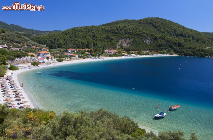Immagine Spiaggia di Panormos: è uno dei lidi più famosi di Skopelos, in Grecia - © Panos Karas / Shutterstock.com