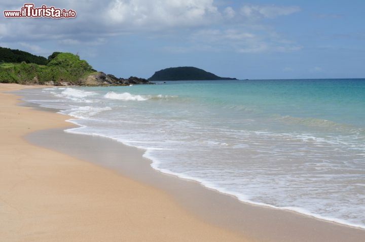 Immagine Spiaggia di  Pointe Allegre sull'isola di Guadalupa (Guadeloupe). Questo mare cristallino si trova sull'estremità nord della Basse Terre, la zona più occidentale e montagnosa dell'isola francese - © Pack-Shot / Shutterstock.com