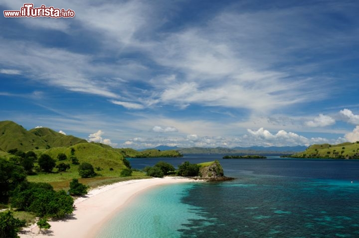 Immagine Spiaggia bianca a Flores,  Indonesia dell'est - © Rafal Cichawa / Shutterstock.com