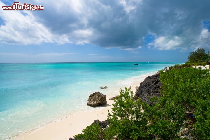 Immagine Spiaggia corallina a Zanzibar in Tanzania. L'isola di Unguja offre numerose spiagge da favola, tutte con il comune denominatore di sabbie bianche ed acque turchesi, circondate dal verde della lussureggiante vegetazione tropicale - © Kerry Manson / Shutterstock.com