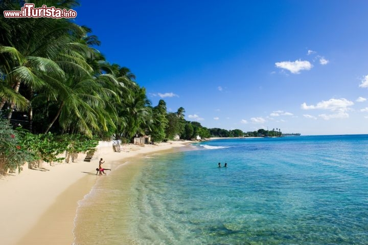 Immagine Una Spiaggia da sogno a Barbados: come regola generale le spiage occidentali sono con mare più calmo rispetto a quelle occidentali - Fonte: Barbados Tourism Authority