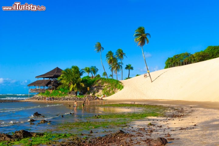 Immagine Spiaggia con grande duna di sabbia a Genipabu: siamo nello stato di Rio Grade do Norte in Brasile, non lontano dalla capitale di Natal - © kastianz / Shutterstock.com