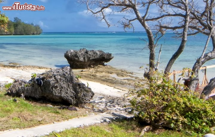 Immagine Una bella spiaggia sull'isola principale di Tonga - © Andrea Izzotti / Shutterstock.com