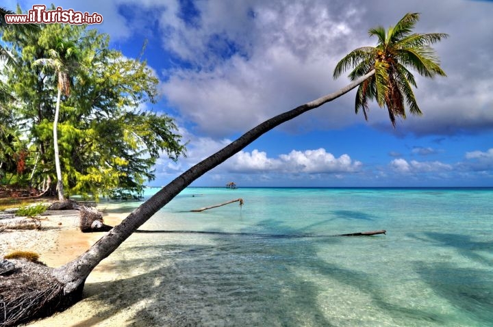 Immagine Spiaggia lungo la laguna di Fakarava, presso la Pensione Havaiki