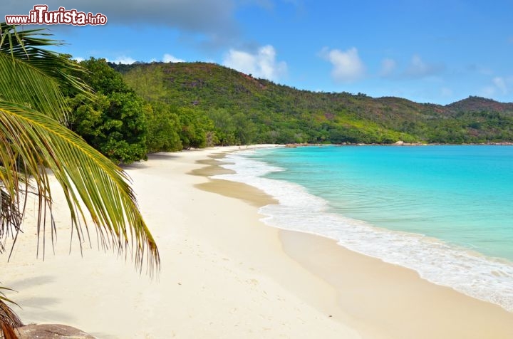 Immagine Spiaggia selvaggia a Praslin, la splendida isola dell'arcipelago delle Seychelles - © Oleg Znamenskiy / Shutterstock.com