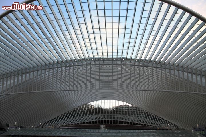 Immagine La Stazione di Guillemins a Liegi in Belgio. Questa stazione è stata progettata dall'architetto spagnolo Santiago Calatrava. Liège è servita anche dai treni TGV - © Ana del Castillo / Shutterstock.com