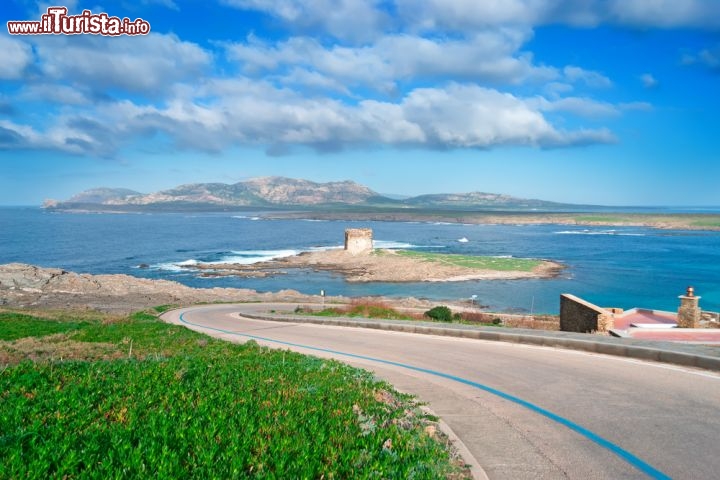 Immagine Strada per Stintino, con vista sulla torre della Pelosa e l'isola dell'Asinara (Sardegna) - © Al_Kan / Shutterstock.com