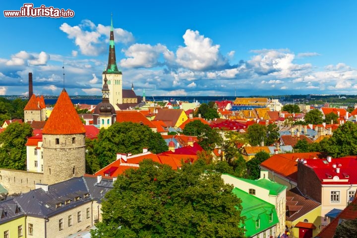 Immagine In estate, col cielo limpido, i tetti di Tallinn sono di un rosso brillante e il verde che abbellisce la città appare ancora più fresco: impossibile resistere a una passeggiata per il centro  - © Oleksiy Mark / Shutterstock.com