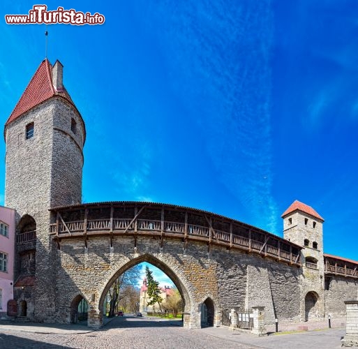 Immagine La parte più antica di Tallinn è ancora circondata dalle torri e dalle mura medievali. Sono tra le fortificazioni meglio conservate d'Europa, con oltre 2 km di cinta alta 16 metri e 46 torri - © Igor Grochev / Shutterstock.com