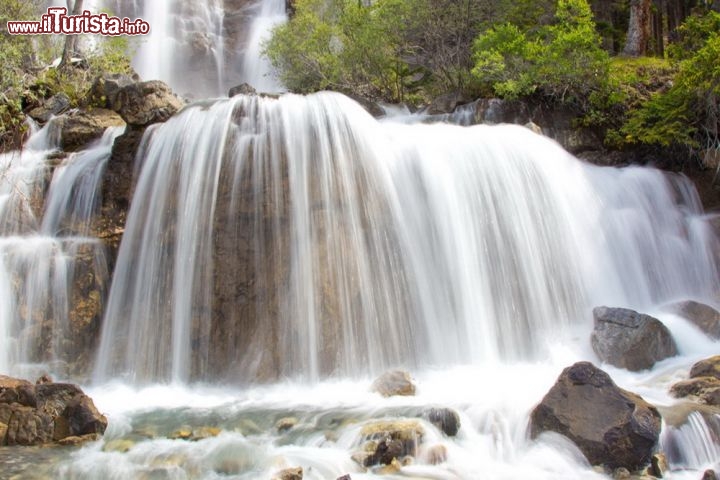Immagine Le cascate Tangle Falls, all'interno del Jasper National Park canadese, scorrono impetuose tra la vegetazione alta e fitta del parco  - © e X p o s e / Shutterstock.com