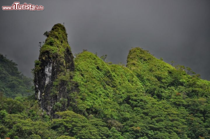 Immagine Tempo uggioso a Tahiti sulle rocce vulcaniche dell'interno dell'isola. L'abbondanza di verde su Tahiti è determinata dalle montagne alte più di 2.000 metri dell'interno che consentono abbondanti precipitazioni, specie durante il monsone più umido, durante l'estate australe
