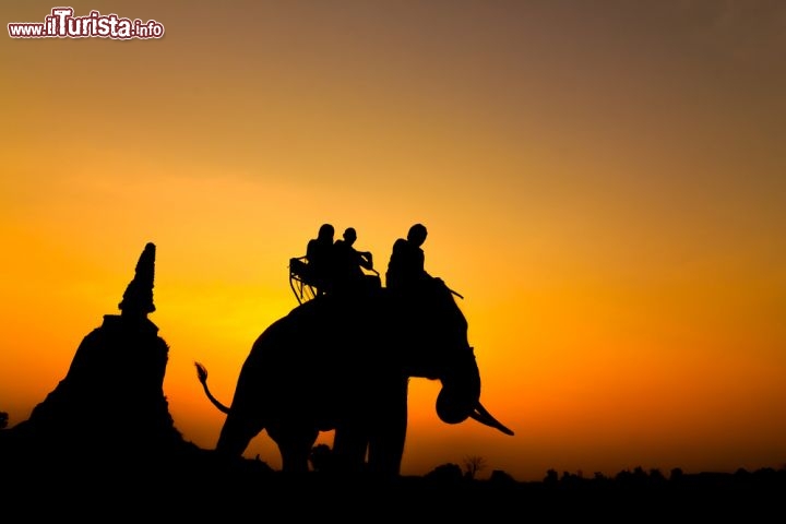 Immagine Tramonto a Ayutthaya in Tailandia: tempio ed elefante in contro luce - © Mr.Reborn55 / Shutterstock.com