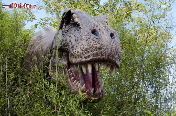 Immagine Un tyrannosauro nascosto tra la vegetazone a Dinoland nel parco di Mirabilandia, Emilia Romagna, Italia