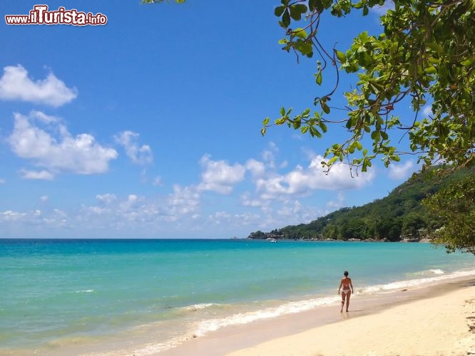 Immagine Vacanza a Beau Vallon, la celebre spiaggia alle Seychelles, sull'isola di Mahe - © chbaum / Shutterstock.com