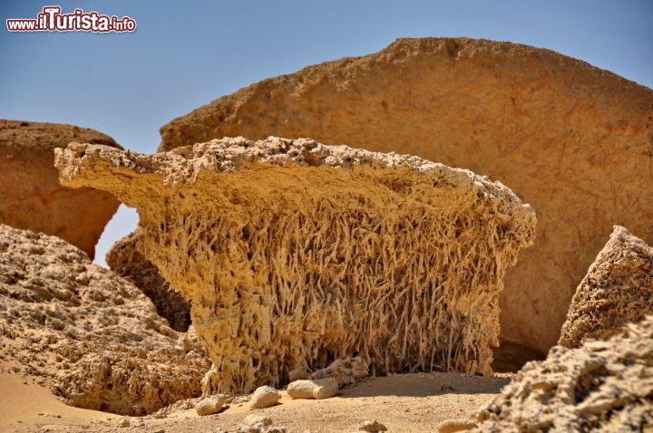 Immagine Valle delle  Balene: le probabili mangrovie fossili di Wadi al-Hitan in Egitto - In collaborazione con I Viaggi di Maurizio Levi