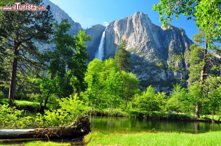 Immagine Yosemite National Park, sullo sfondo le grandi Upper Falls, le più alte della California e di tutto il Nord America - © EastVillage Images / Shutterstock.com