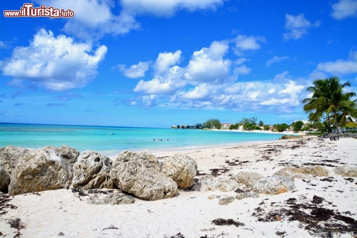 Immagine La magnifica spiaggia di Accra Beach è una delle più belle sull'Isola di Barbados, ai Caraibi, e come molte dell'isola è dotata di magnifiche sabbie bianche  - © Styve Reineck / shutterstock.com