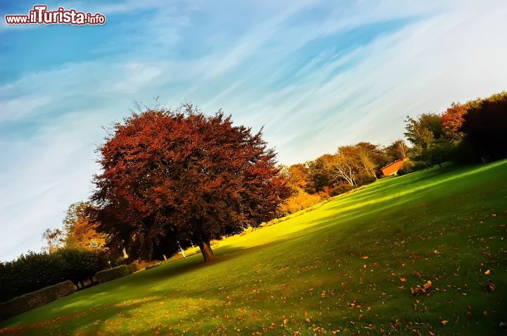 Immagine Gli affascinanti colori del primo foliage autunnale in un parco della città danese di Aalborg - foto © irbis pictures / Shutterstock.com
